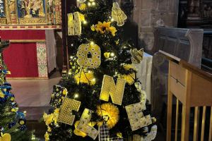View Christmas Tree Festival - Crooked Spire - November 2025