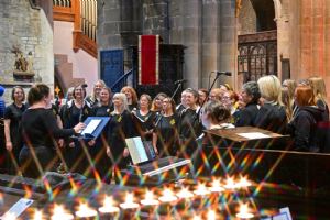 View Christmas Tree Festival - Crooked Spire - November 2025